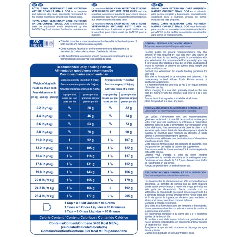 mature consult small dog