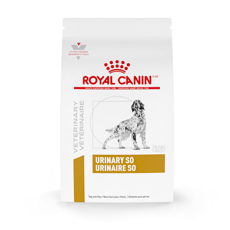 Royal canin best sale urinary so amazon