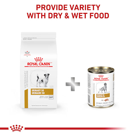 urinary so small dog food