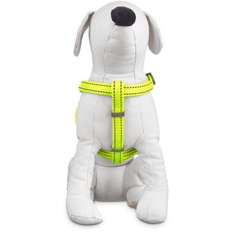 dog harness petco