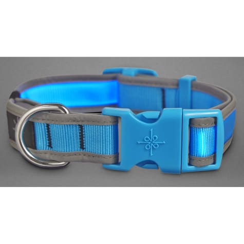 petco led collar