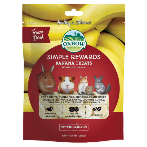 Oxbow Simple Rewards Banana Small Animal Treats