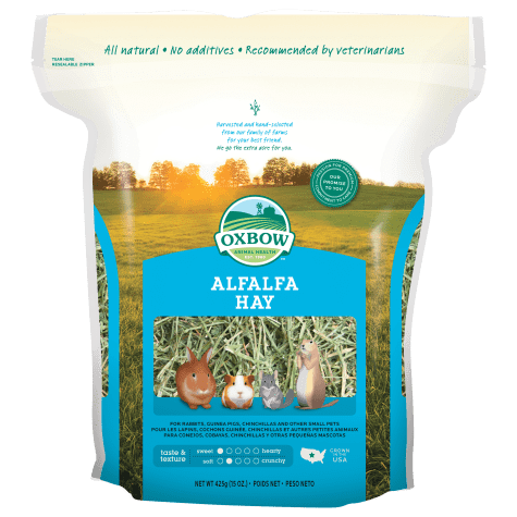 natural calming for dogs with anxiety