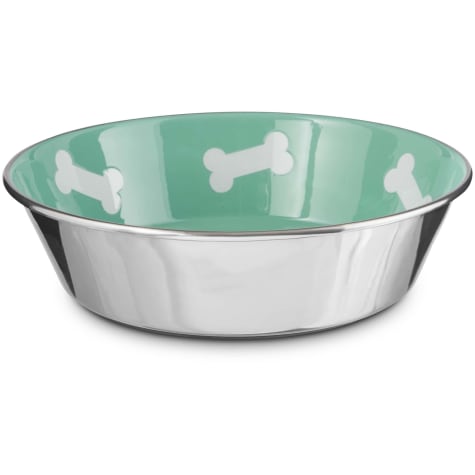 teal dog bowls