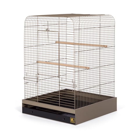 bird cage petco