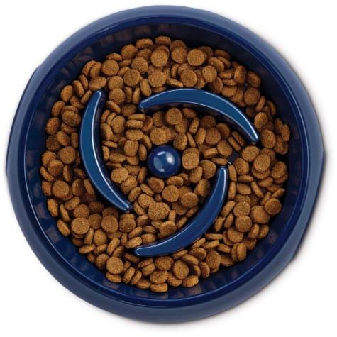petco slow feeder bowl