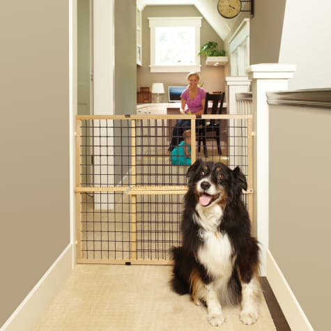 MyPet Extra-Wide Wire Mesh Petgate