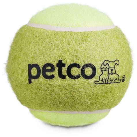 Petco Tennis Ball Dog Toy in Green