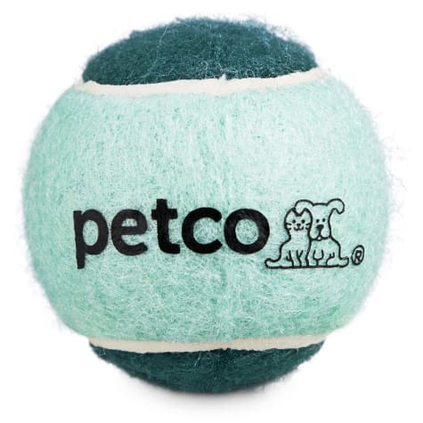 Petco Tennis Ball Dog Toy in Teal