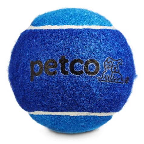 Petco Tennis Ball Dog Toy in Blue, 2.5 