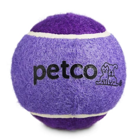 Petco Tennis Ball Dog Toy in Dark Blue