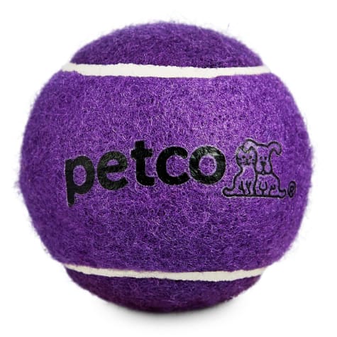 Petco Tennis Ball Dog Toy in Purple