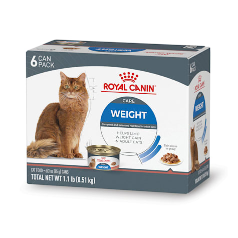 royal canin russian blue