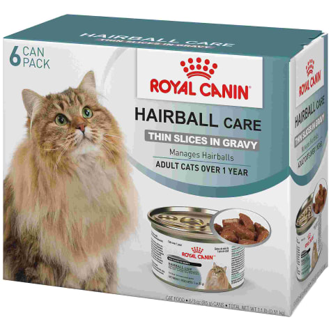 royal canin hairball dry cat food