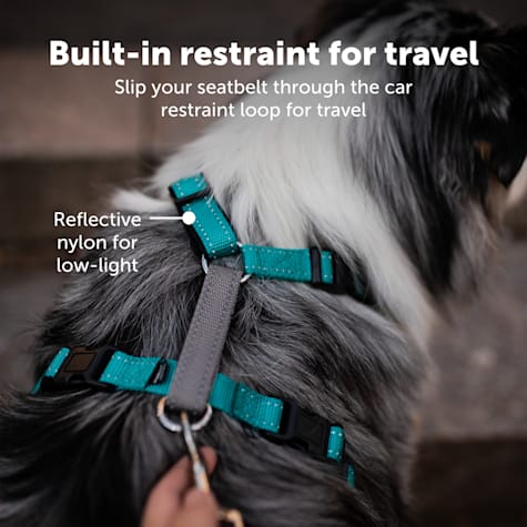 petsafe 3 in one harness