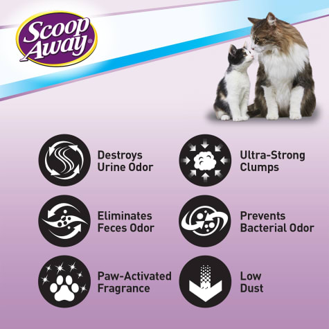 scoop away lightweight cat litter