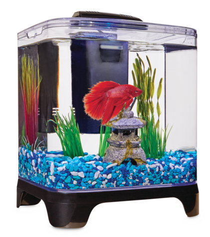 imagitarium freshwater aquarium 2.2