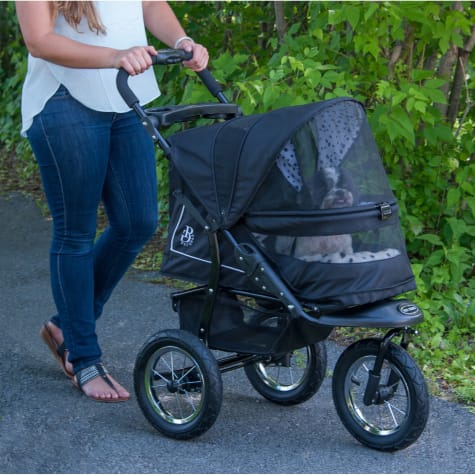 dalmatian stroller