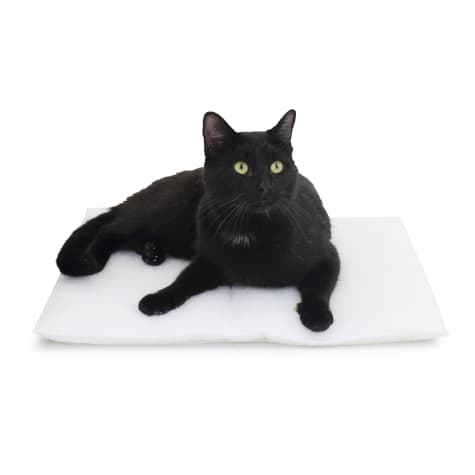 Carolina Pet Company Purr Padd 2 Pack