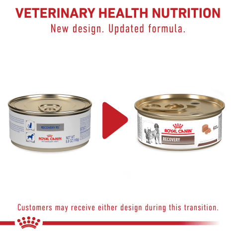 royal canin recovery pack