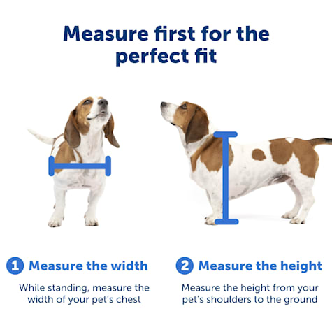 petsafe sliding glass pet door medium
