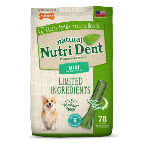 Nylabone Nutri Dent Limited Ingredients Mini Fresh Breath Dental Chews