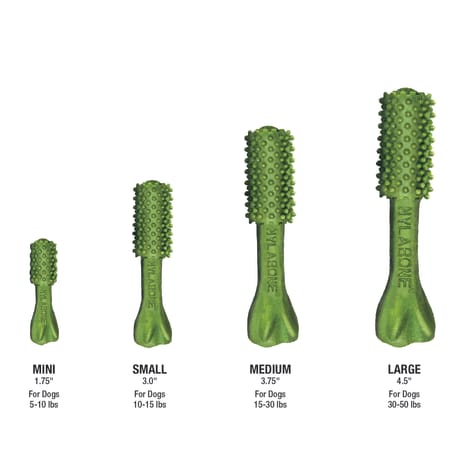 nylabone nutri dent small