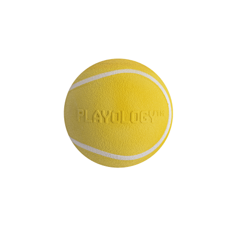 yellow squeaky dog ball