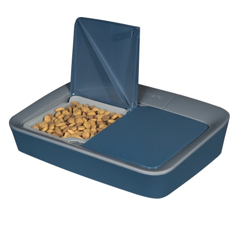 automatic dog feeder petco