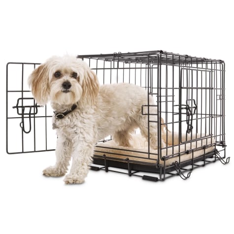 Proconcepts 2 Door Wire Crate Black Xlarge 42x28x30 Up To 90 Lbs Kennels Carriers Gates Meijer Grocery Pharmacy Home More