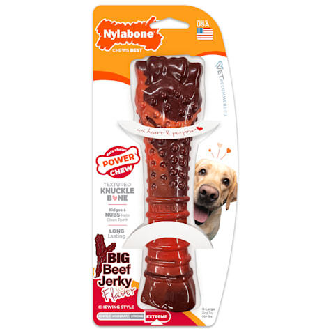Nylabone Power Frenzy Beef Flavor Jerky Chew Toy