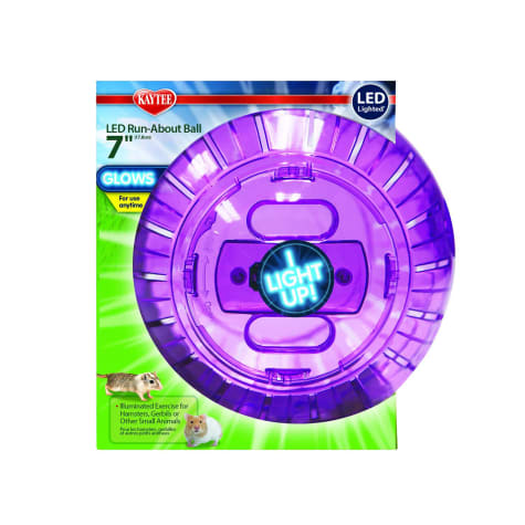 Kaytee LED Lighted Run About Ball
