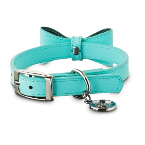 teal dog collar and leash