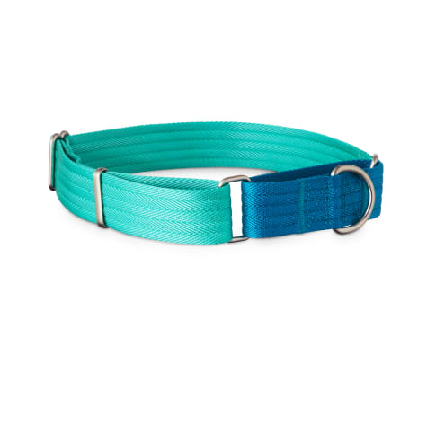 teal martingale dog collar