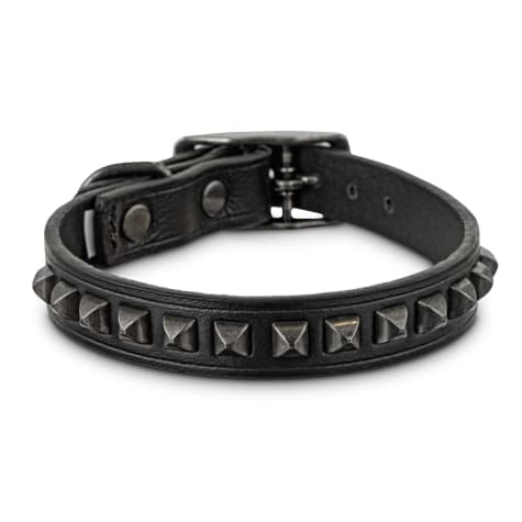 leather leash and collar