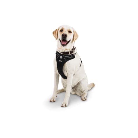 Good2Go Black Front Walking Dog Harness 