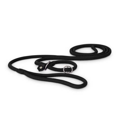 natural rope slip dog lead