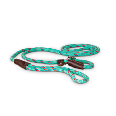 rope dog collar and leash