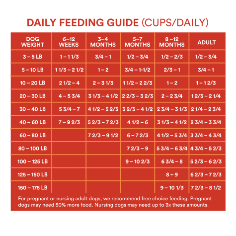 Kirkland Healthy Weight Dog Food Feeding Chart | Blog Dandk