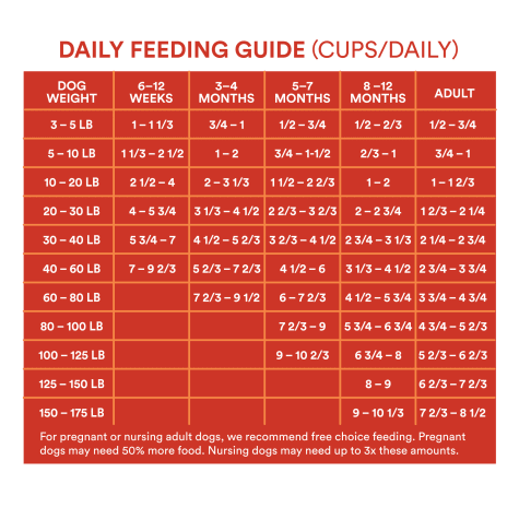 Purina Puppy Food Feeding Chart - Puppy And Pets