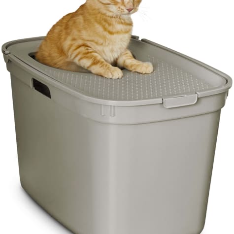 petco cat litter box