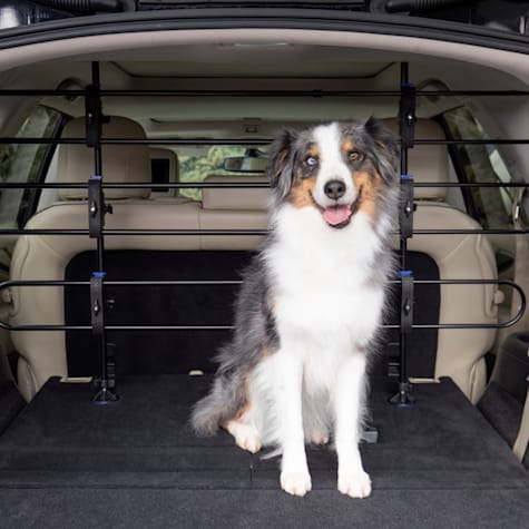 metal dog barrier for car