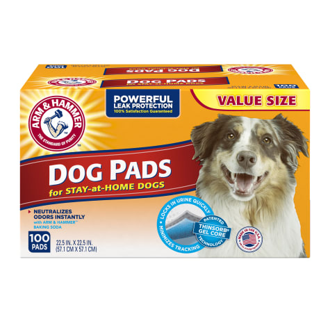 gel pads for dogs