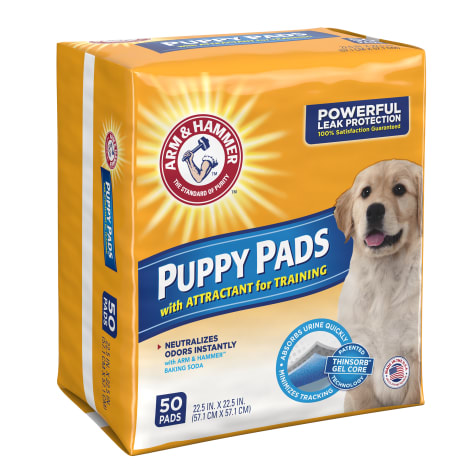 arm and hammer puppy pads