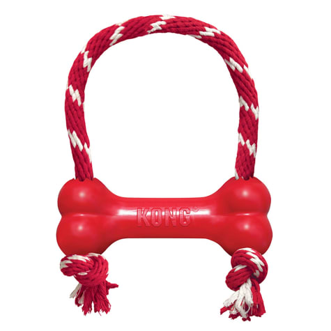KONG Goodie Bone Rope Dog Toy