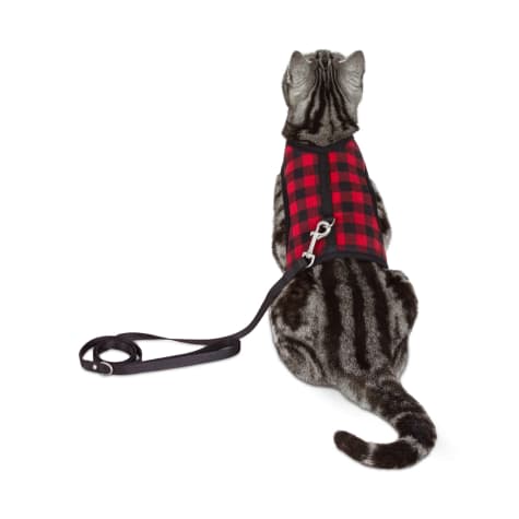 bond and co cat harness