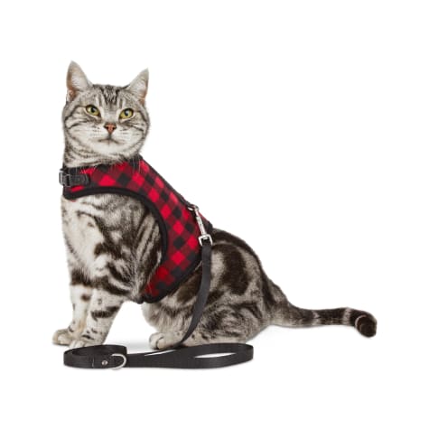 bond and co cat harness