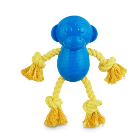 dog toy monkey