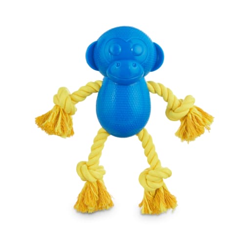 dog toy monkey