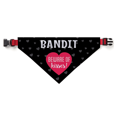 dog bandanas that go through collar